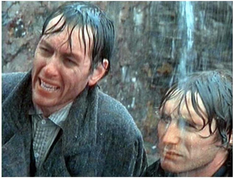 We’ve been ambushed by a cake by mistake