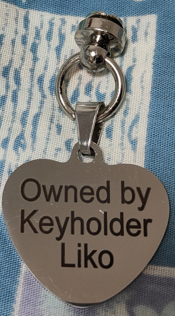 Keyholder_liko's tweet photo. 最近去外网keyholder群参观了一下，发现这个玩法挺有意思也很有仪式感，所以我也去定制了一个🤣，没厚着脸去给宠物用的高档店订做只去了标题写着sm的店订做，质量糙了点让我有些失望不过意思应该到了吧。
祝@Tumi1ll 和看��本条的各位新春快乐，在新的一年里也能从play里收获快乐！
#贞操带 #keyholder https://t.co/WarPD7IL7h