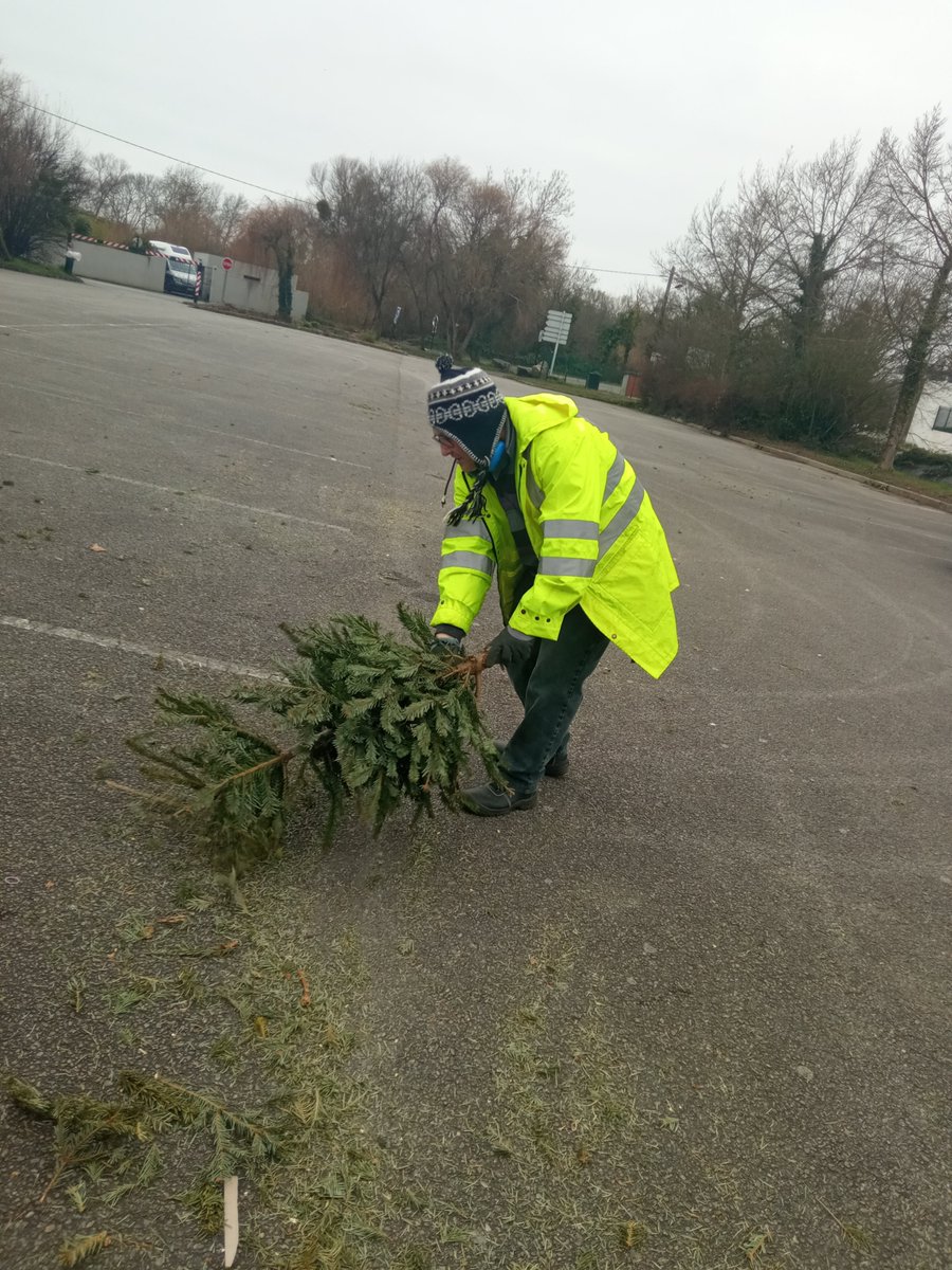 Compostri's tweet photo. [Opération broyage] de sapins à Couëron par Florian (Maitre Composteur) avec l'aide de Joseph ! Merci à eux. 

#broyage #sapins #couëron #compostri #compost #compostage https://t.co/pBkB9RnSZR