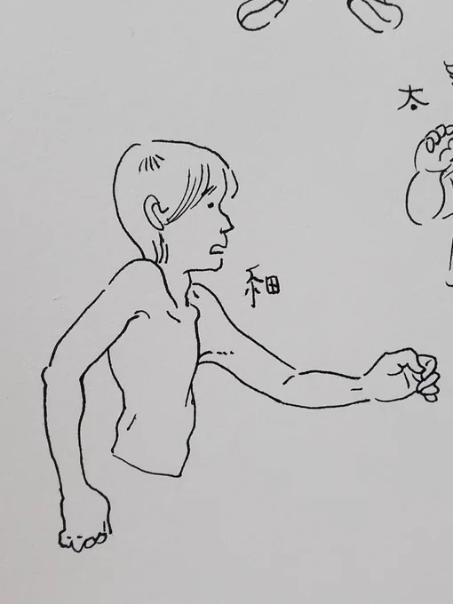 細い人 