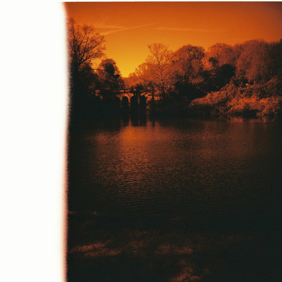 CelluloidClub's tweet photo. it's a 120 redscale 🎞️ kind of day 🔥 !sneak peak #photographynft #cnfts https://t.co/fxtYJh1dM4