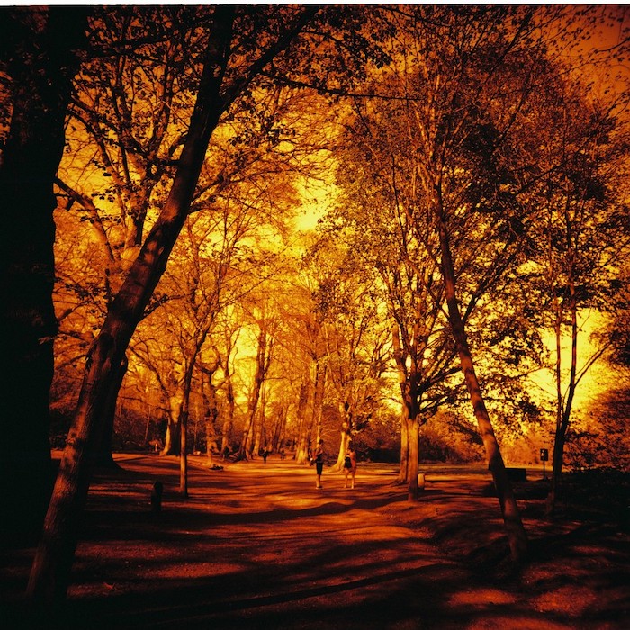 CelluloidClub's tweet photo. it's a 120 redscale 🎞️ kind of day 🔥 !sneak peak #photographynft #cnfts https://t.co/fxtYJh1dM4