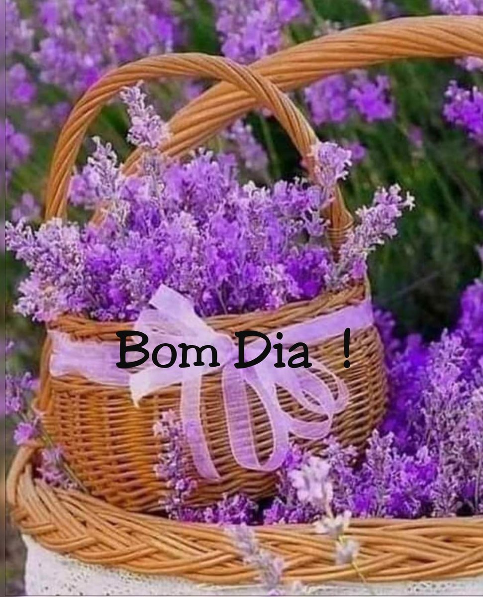 <a href="/SandraS95448475/">🎀Sandra Soares🎀 🇧🇷🇮🇱</a> Gratidão Sandra!
Andavas sumida amiga?
Abençoado seja o seu dia querida amiga.