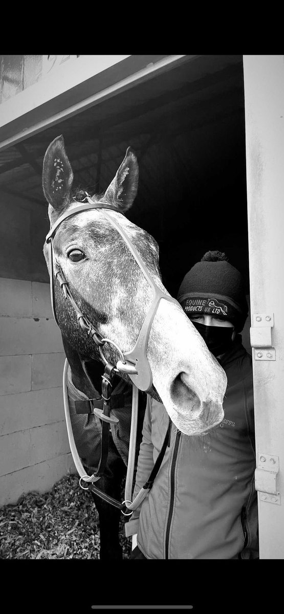 thegoodracingco's tweet image. How’s the ground looking for Friday? 
That is the question… 🤔
#noraininsight #hardground