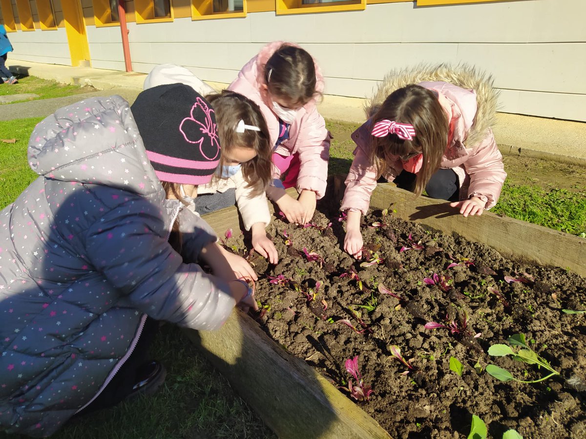 🥬🍅Ikastolako ortuari esker, jaten ditugun elikagaiak nondik datozen ikasten dute gure ikasleek. LH1eko ikasleek hainbat barazki landatu dituzte Gorka Irazabalen laguntzarekin.

#larramendi #ikastola #lh #hezigeugaz #EA2030
#mungia #hezkuntza