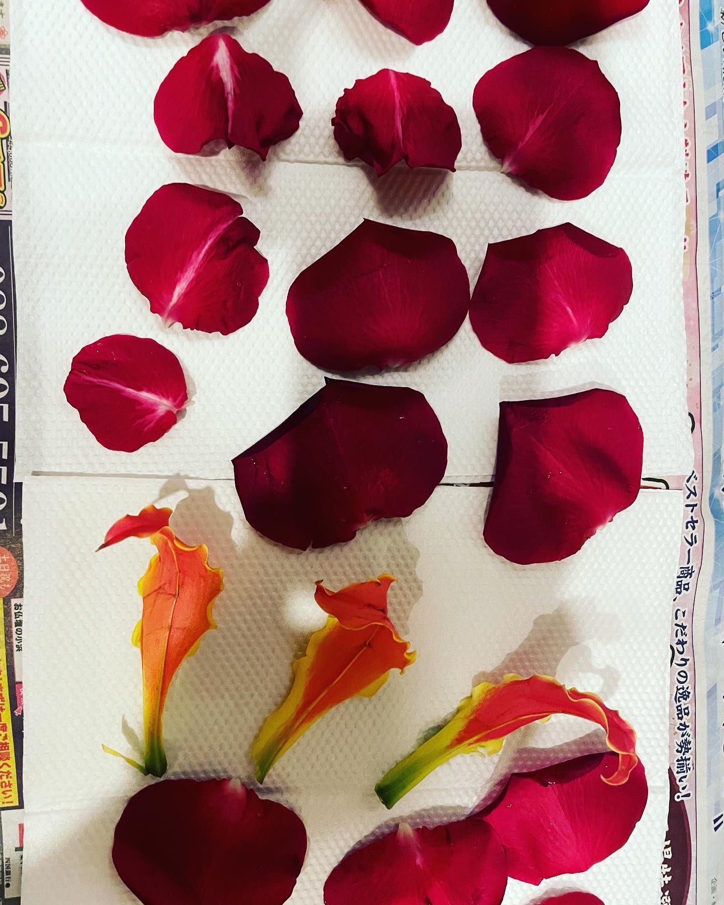 日和佐八幡神社 花栞御守り頒布いたします 花手水で皆様をお迎えした薔薇や菊の花弁を押し花にして 栞型の御守りを調製いたしました 花弁だけや御神木楠の落ち葉をあしらえたものなど 一つとして同じものがない栞御守りです 大城石材店様から御