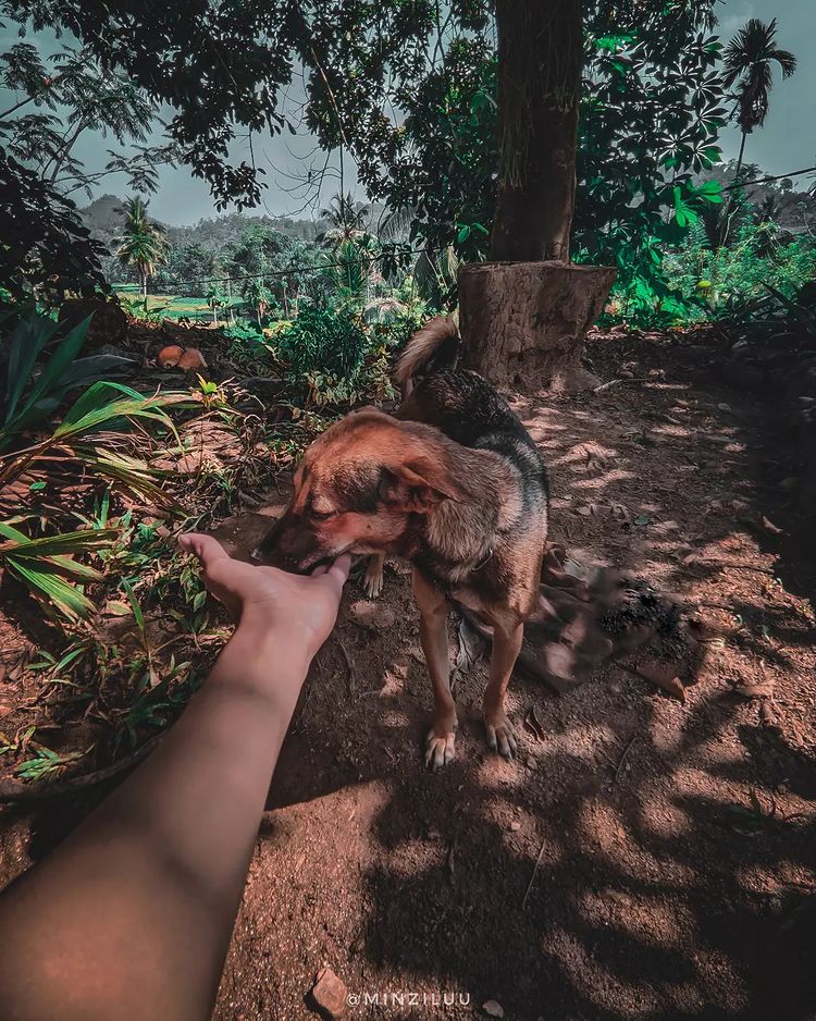 minziluu's tweet photo. බොක්ක😌💛
#embark #GoPro #photographer https://t.co/P3aH3Sxqtc
