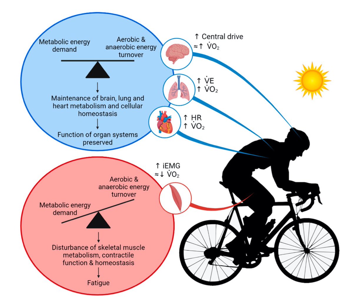 CPAHD Brunel tweet media
