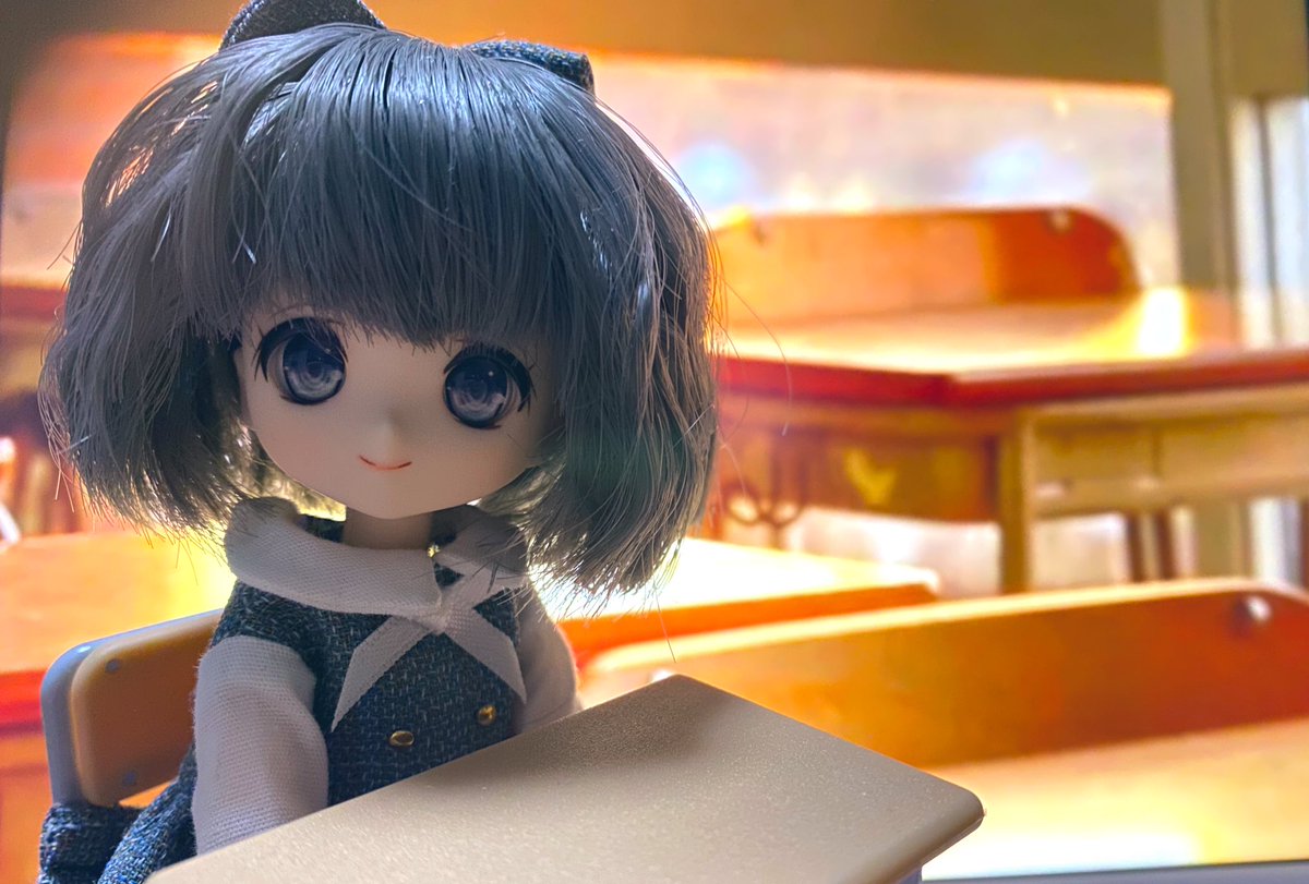 buritorogunkan's tweet photo. セリアさんの机と椅子、あまむすちゃんにぴったりで110円だなんてそんないいんですかあぁああ猫ぉおおお！！！ https://t.co/tsU4eoxSQC