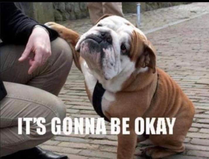 cfletch17's tweet photo. On #BellLetsTalk day, reach out to someone and keep the conversation going   #ItsOkayToNotBeOkay https://t.co/sa5msx5fcP