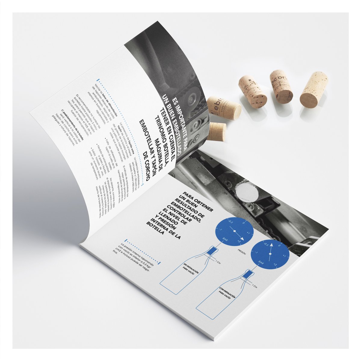 Ebrocork tweet media