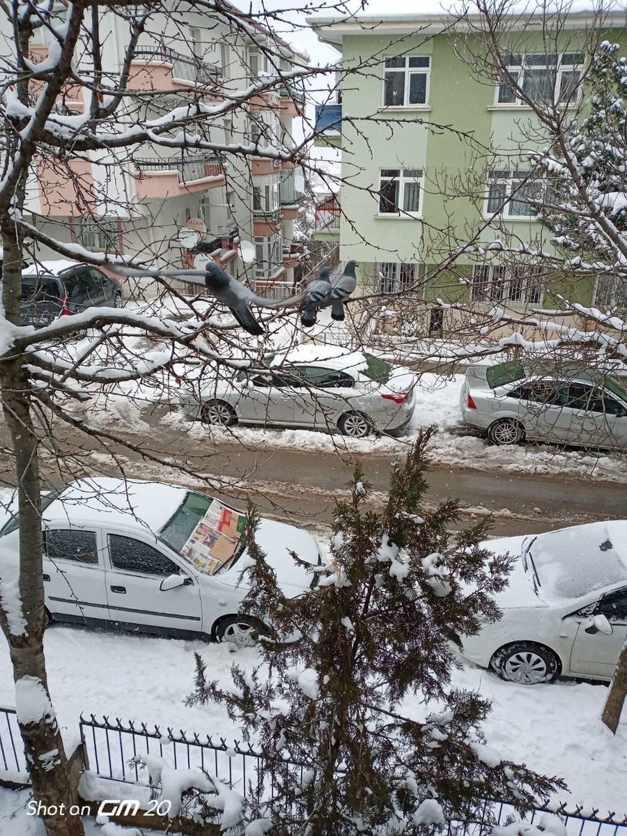 forumsahadan's tweet image. DİLSİZ DOSTLARIM MİSAFİRLİĞE GELMİŞ KARINLARINI DOYURDUM 😊😊😊😊😊😊😊😊😊😊