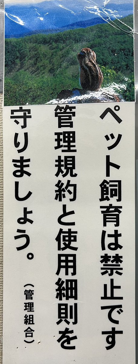 中島政人 中島正人 じーまん (@masatomasatolll) / Posts / X