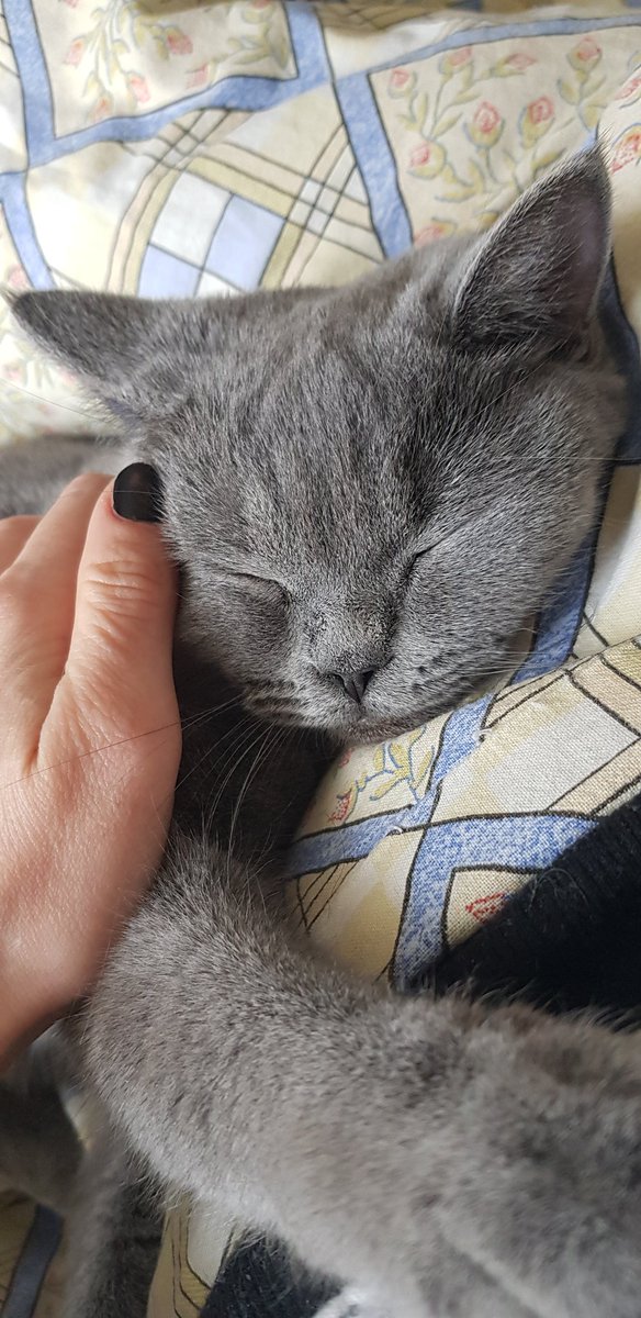 Yapacak 801 tane işim var ama şöyle meşgul ediyor beni...
Karşı da koyamıyorum.