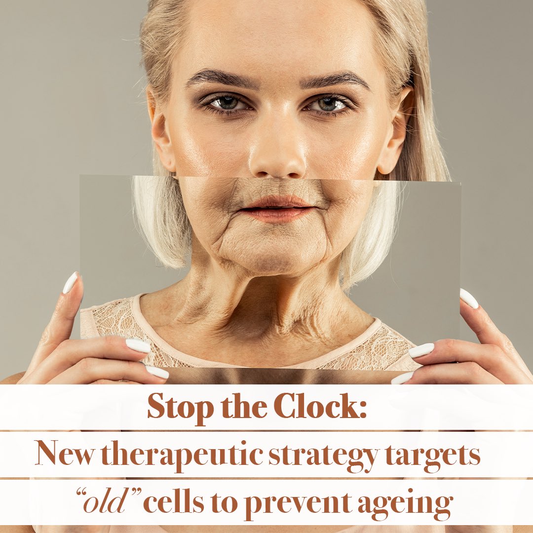 Stop the Clock:
New therapeutic strategy targets
“old” cells to prevent ageing
lnkd.in/gvH4cgiK

#ageing #antiageing #senescent #cells #senescentcells #senoantigen #senolysis #vaccine #TohruMinamino #MasayoshiSuda
#primejournal #aesthetic #antiageing #peerreview