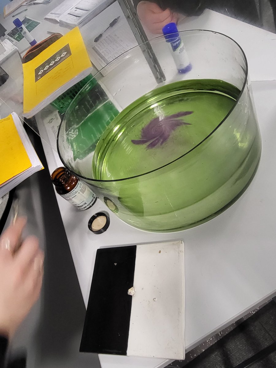 Mrs Barton👩🏼🔬 tweet media