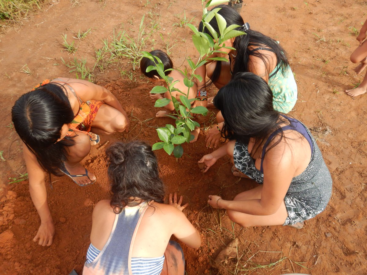 AssoForetVierge's tweet photo. Une réunion de consultation préalable, libre et éclairée a eu lieu du 27 au 29 novembre 2021 où plus d'une centaine de membres et de caciques de l’ensemble des communautés du Territoire Indigène du Xingu se sont retrouvés pour consacrer la création de l'Institut Aritana. https://t.co/yRm64Ol9RI