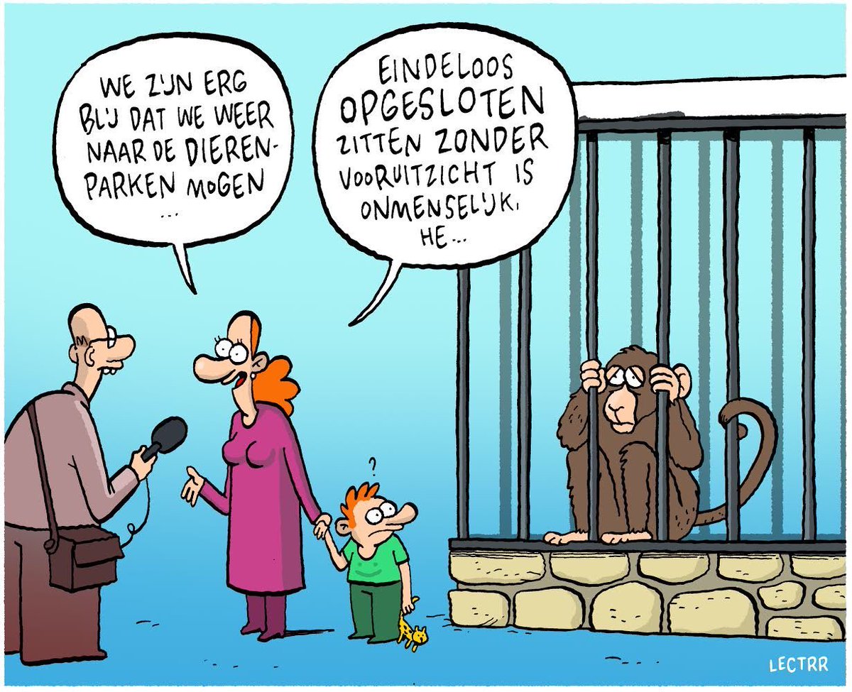 En uiteraard mocht in het NOS-journaal nog even gezegd worden dat de dieren ook "blij" zijn dat de mensen weer naar de dierentuin mogen komen... #gratisreclame #antropomorfisme