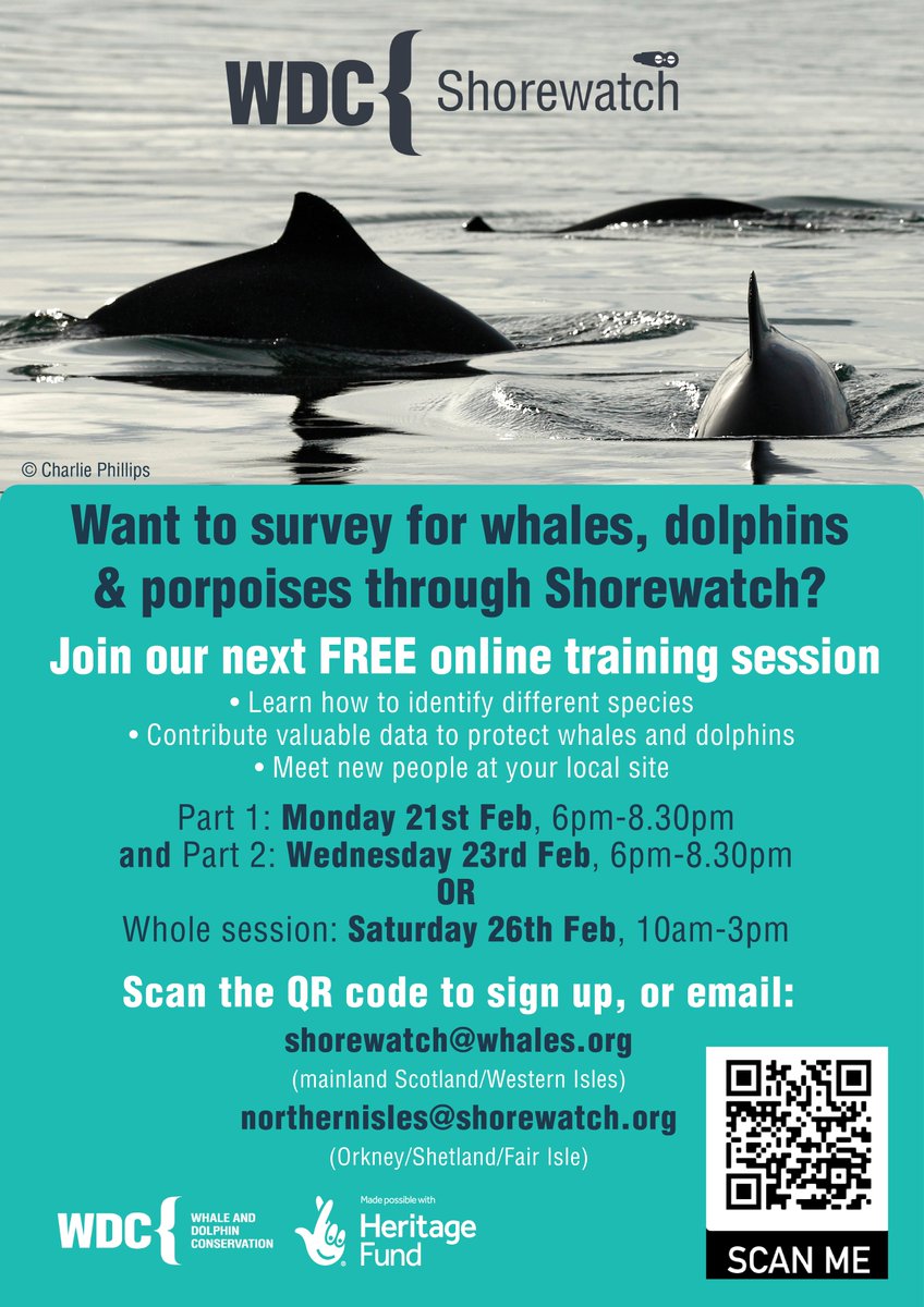 emma701's tweet image. 🏴󠁧󠁢󠁳󠁣󠁴󠁿 Live in Scotland?
🐳 Want to look out for whales &amp;amp; dolphins?
⬇️ Sign up to a #WDCShorewatch training (new dates just added)! 
Help @whalesorg protect the amazing marine wildlife around our coastline through #CitizenScience
