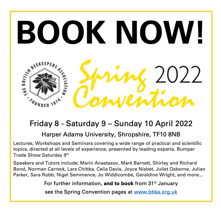 #BBKASC2022 <a href="/BbkaBee/">BBKA Spring Bee</a>