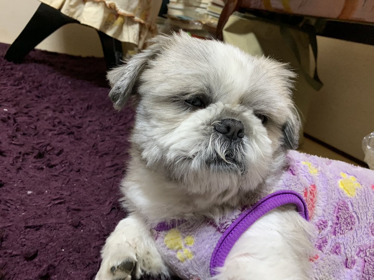 pyoru0528star's tweet photo. 今日のぴょる君 https://t.co/NlWMrS6e41