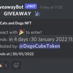 Photo by DogeCube (@DogeCubeToken)