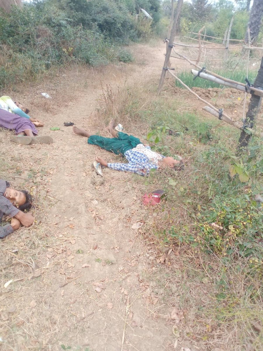 အရာတော်တွင် အသက် ၁ဝနှစ်အရွယ် ကလေးငယ်အပါအဝင် ပြည်သူ ၄ဦးကို PDF ဟု စွတ်စွဲကာ စစ်တပ်က ပစ်သတ် 
ရန်ကုန်၊ ဇန်နဝါရီ ၂၆

Read More -&gt; t.me/khitthitnews/2…