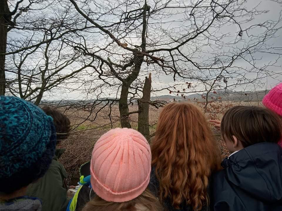 RnR_Nature's tweet photo. Look at the fascination.A robin captured this class’s attention. Studies show that the quality of our attention in #nature is a key factor in determining the level of #wellbeing benefits we receive.Having fascination&amp;attention being modelled by a trusted, empathetic adult helps! https://t.co/cIzuNj2wv3