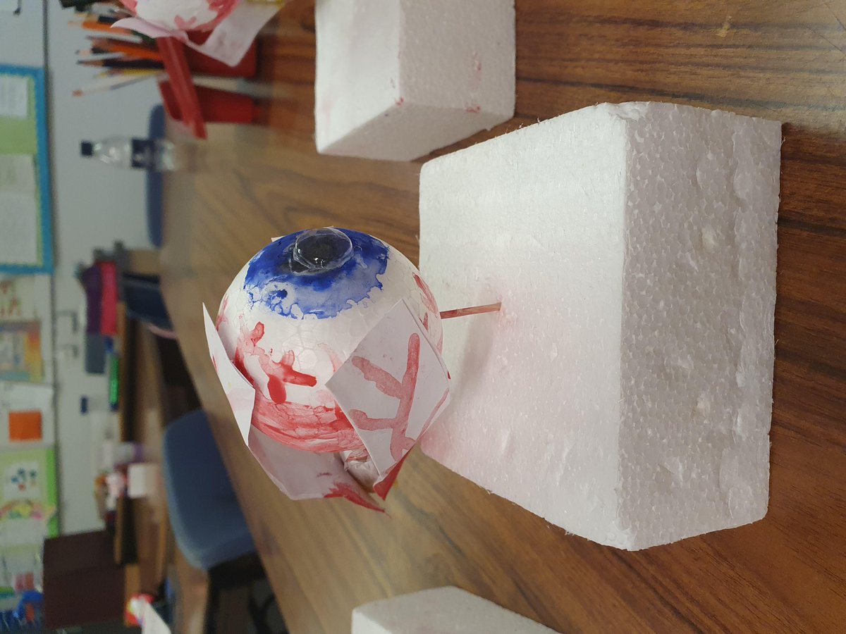 MrsChalmers3's tweet photo. Check out our fantastic models of the eye we made in P6/5! 👁 @BarmullochP @STEMglasgow https://t.co/yydYlAYEc2