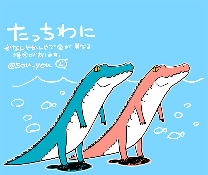 蒼鷹 tweet media