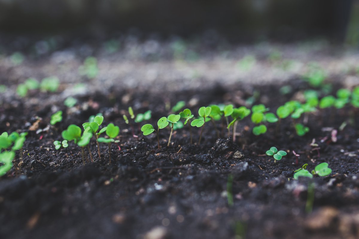 EcocertArg's tweet photo. ¡Hoy celebramos el día mundial de la educación ambiental! 👉 #EA26 
♻ Actuar por un mundo sostenible. #EcocertArgentina. Todos los días estamos trabajando para lograr prácticas sostenibles.

Link para leer post 👉https://t.co/oKoeHwOt20 https://t.co/fNgweH9YMj