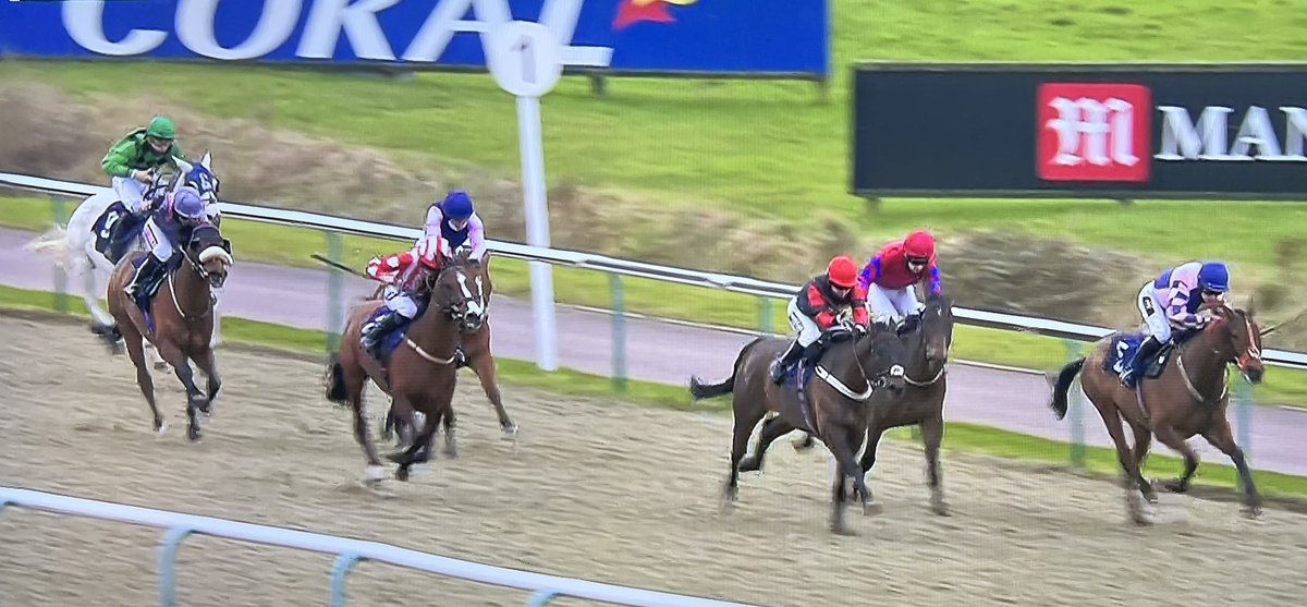 amajox's tweet photo. Congratulations @amajox #champ @beckysmith360 wins @betway @LingfieldPark @MHammondRacing π₯ #TheResDevWay #topride #topjock #13ran and great lead-up @gemilou81 too π https://t.co/F8sveIDVBR