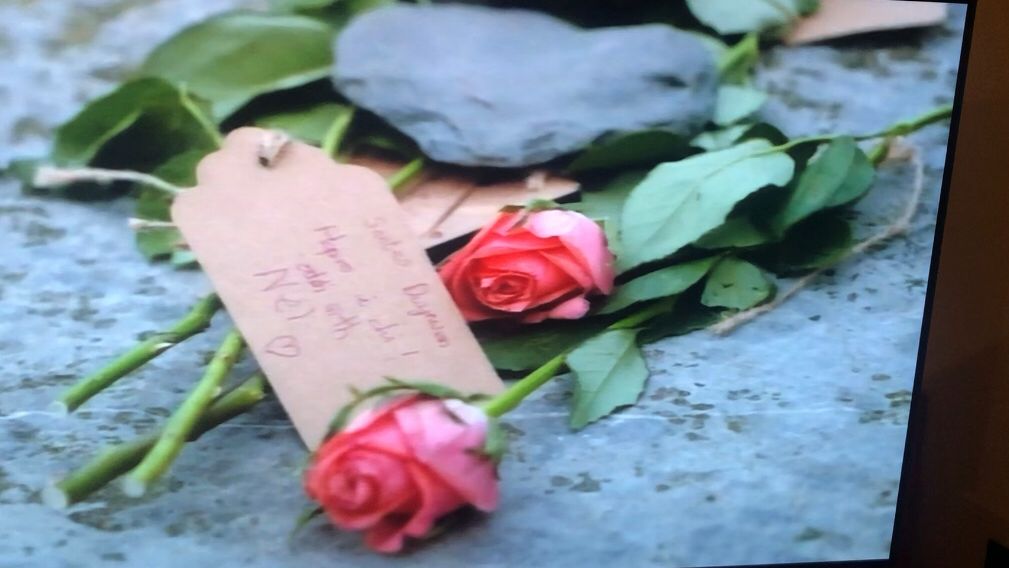 IfanYsgol's tweet photo. Wel son am falch 🤗 Ein rhosod bach wedi'w harddangos ar newyddion @ITVWales neithiwr! 💖 @CydagCynradd @GCynradd @DioStAsaphEdu https://t.co/qRpuqFRdGE
