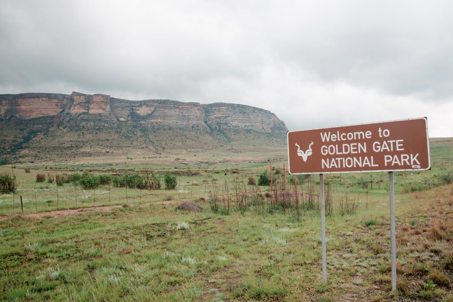 magwace's tweet photo. #A03CoreDisplay
I would like to know more about GOLDEN GATE NATIONAL PARK in Free State, between CLARENS and QWAQWA, just to explore animals and take pictures.
@SamsungMobileSA
@LesediFM
#MyFirstLoveMyGalaxy https://t.co/A1pXYZ9Vfi