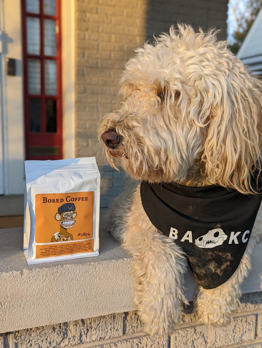 BoredCoffee_'s tweet photo. GM ☕. Rise &amp; Grind frens

#BAYC #MAYC #BAKC #BoredCoffee https://t.co/Q11EUrs3Ev