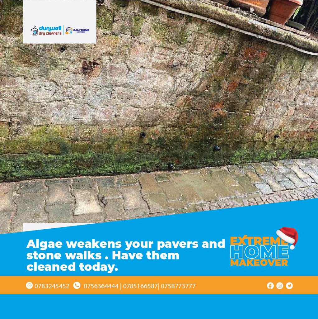SirDavidKN's tweet photo. Did you know that Algae weakens your pavers and stone walks ??? 
Hire @CjayH_S to get them cleaned. 
#ExtremeHomeMakeOver https://t.co/3tWT1nAHFf