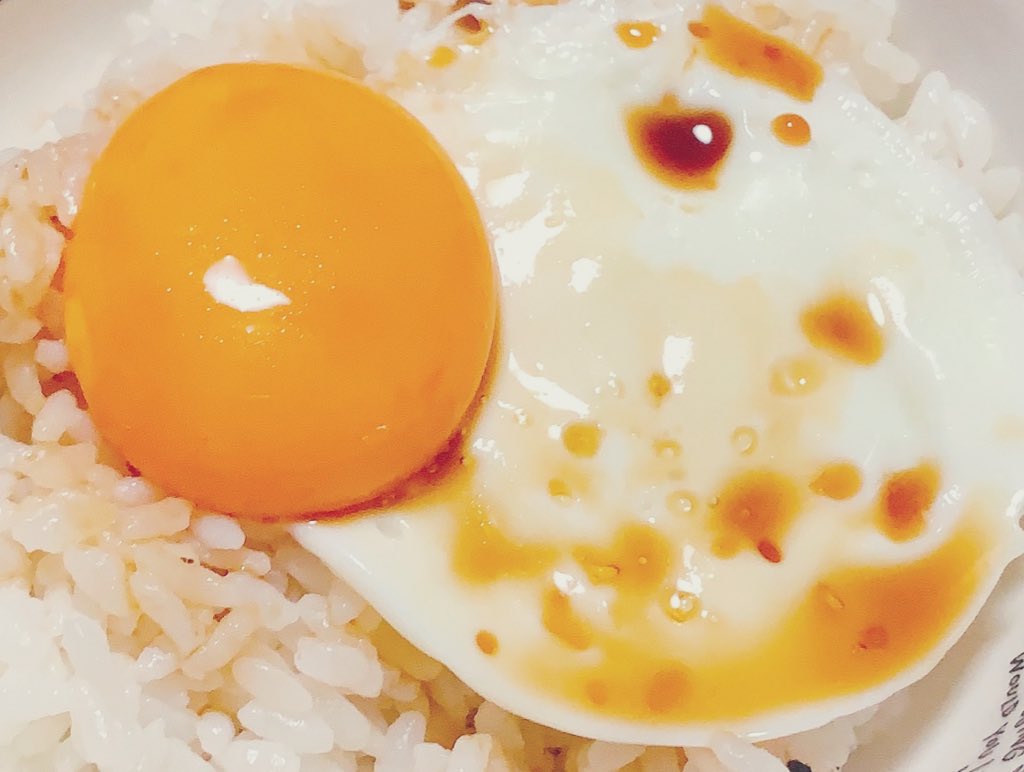 卵かけご飯 Twitter Search Twitter