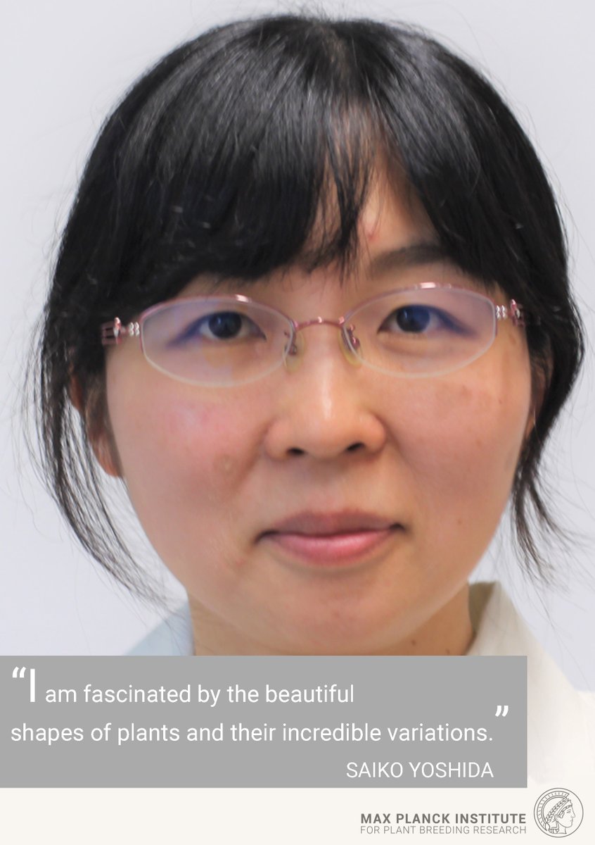MPIPZ Cologne (@mpipz_cologne) on Twitter photo As part of this year’s #WomenInScience day, we want to highlight some voices from our female researchers <a href="/mpipz_cologne/">MPIPZ Cologne</a> Find our first interviews by <a href="/ParkerLab_MPIPZ/">Parker Lab</a> , <a href="/KatharinaMel1/">Katharina Melkonian</a> and <a href="/Saiko_Yoshida_/">SaikoYoshida</a> here: 👉mpipz.mpg.de/women-intervie…
#WomenInSTEM #scicomm As part of this year’s #WomenInScience day, we want to highlight some voices from our female researchers <a href="/mpipz_cologne/">MPIPZ Cologne</a> Find our first interviews by <a href="/ParkerLab_MPIPZ/">Parker Lab</a> , <a href="/KatharinaMel1/">Katharina Melkonian</a> and <a href="/Saiko_Yoshida_/">SaikoYoshida</a> here: 👉mpipz.mpg.de/women-intervie…
#WomenInSTEM #scicomm
