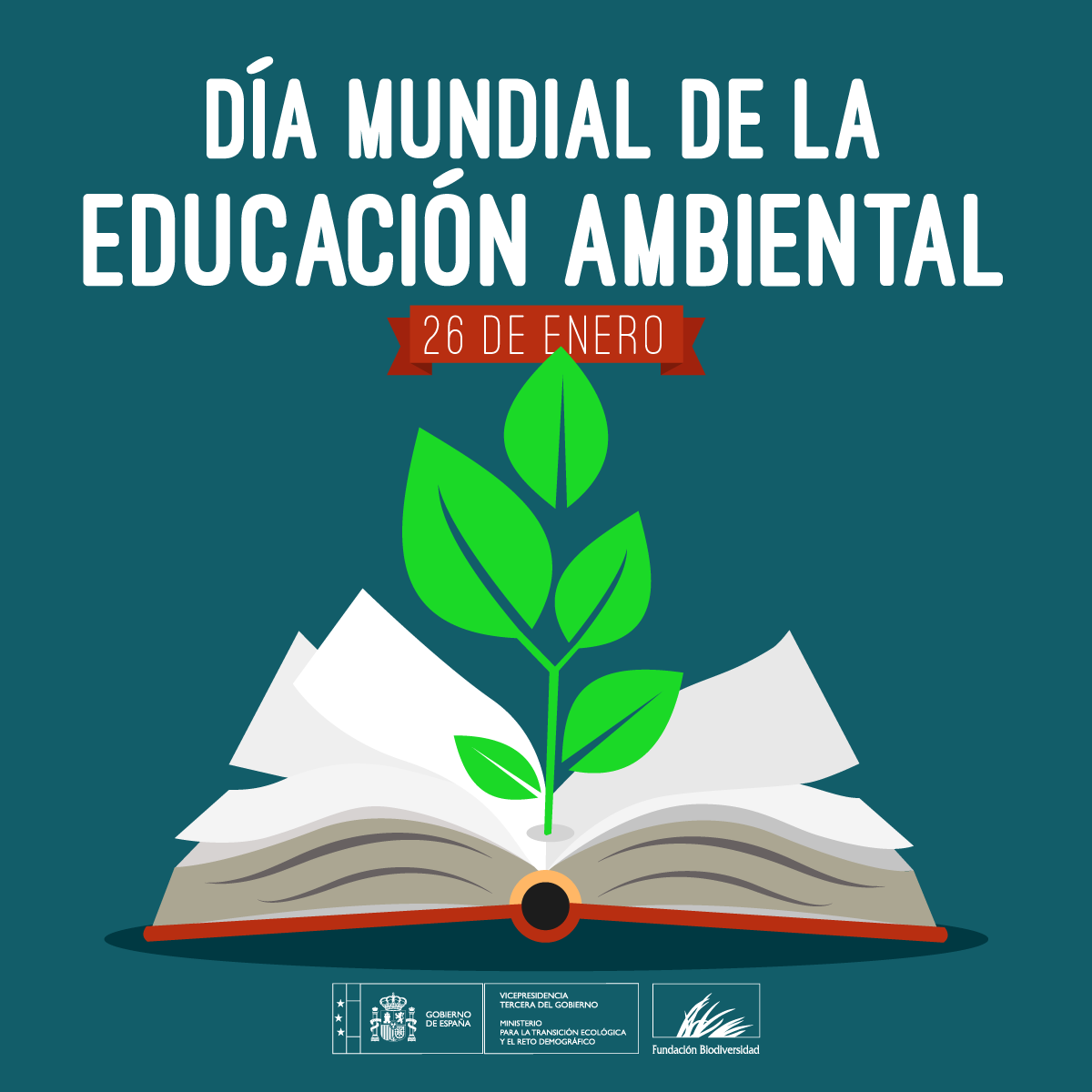 FBiodiversidad's tweet photo. La educación ambiental juega un papel fundamental como motor de transformación social. 

Una sociedad concienciada será una sociedad preparada para asumir cambios a largo plazo que permitan replantear nuestra relación con la naturaleza.

#DíaMundialdelaEducaciónAmbiental https://t.co/Wyyqa5gZsm