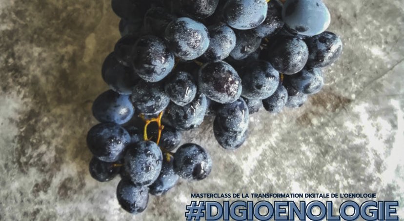J-7 avant notre masterclass #digioenologie 🔜🍇🍷

🤔⤵️

Mais c’est quoi l’œnologie ?

Comment est fait le vin ? 

Quelles sont les influences dans ce secteur ? 

Comment ce domaine vit sa #Transfonum ? 

Toutes les réponses à tes questions le 02/02 à 14h ! 😉

#SaveTheDate