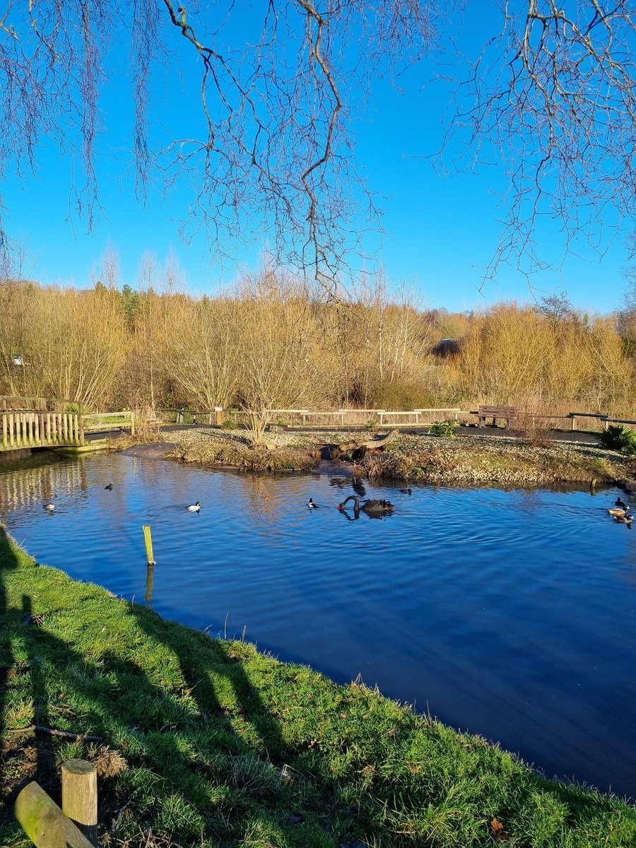 Donnabutt8's tweet photo. Whats not to enjoy, every season brings something new to see 😊 @wwtworldwide #WorldWetlandsDay #ShowUsYourWetlands https://t.co/a1zboLfoPc