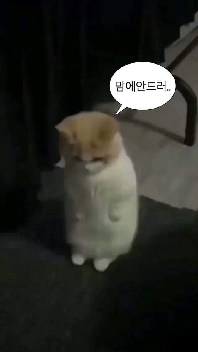 Kimdang_0169's tweet photo. 심심해 다들 뭐해요... #멜섭 https://t.co/GQOZqqyg3O