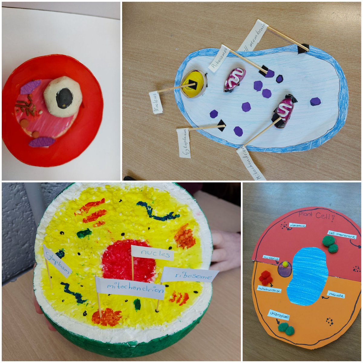 AgMullen's tweet photo. Super proud of my first years and their fantastic cell models #bw1 #jctscience https://t.co/xKeWTLXGUc