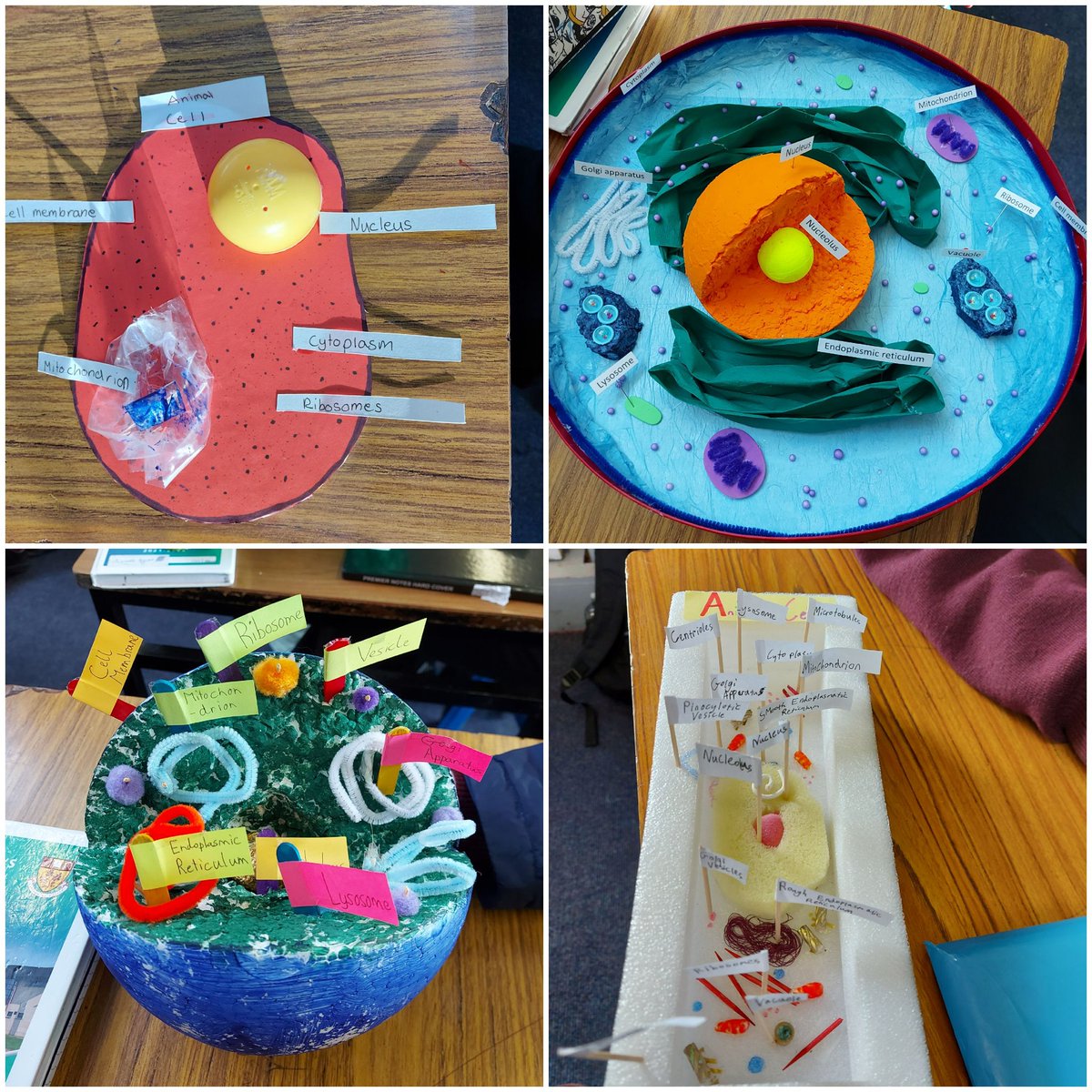 AgMullen's tweet photo. Super proud of my first years and their fantastic cell models #bw1 #jctscience https://t.co/xKeWTLXGUc
