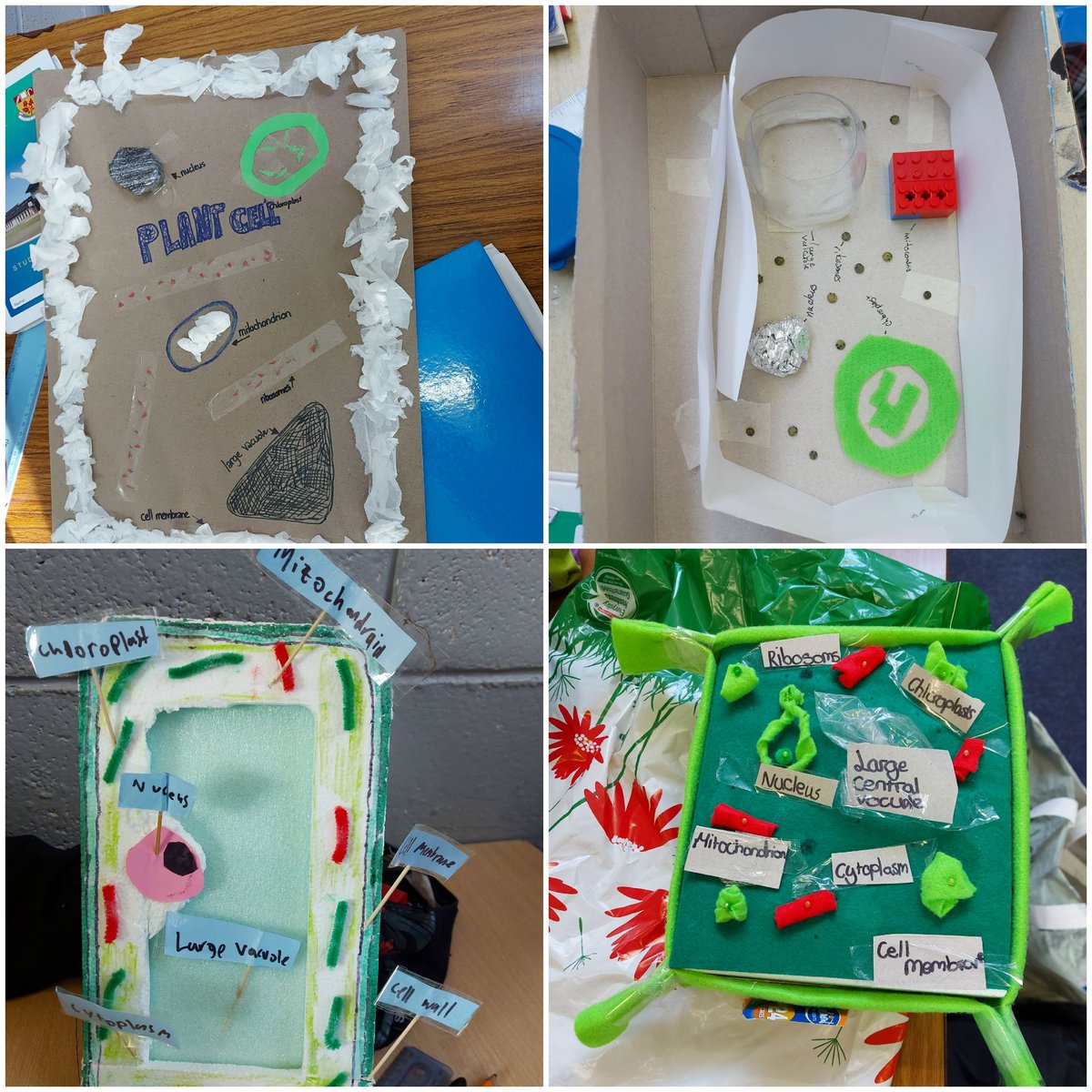 AgMullen's tweet photo. Super proud of my first years and their fantastic cell models #bw1 #jctscience https://t.co/xKeWTLXGUc
