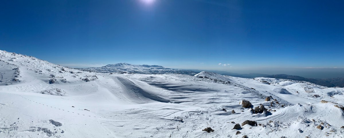 GM everyone! ❄️
Woke up reminiscing about my snowshoeing trip on Sunday - hadn't felt that peaceful in a while🙏🤍 

Current status: sitting at my desk 2,810 miles away, working on a deadline 🥲😆#LFG 

#FeelingBlessed #WorkHardPlayHard #NFTCommunity #NFTartist #NFTWomen