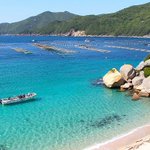 妄想旅行のツイート画像