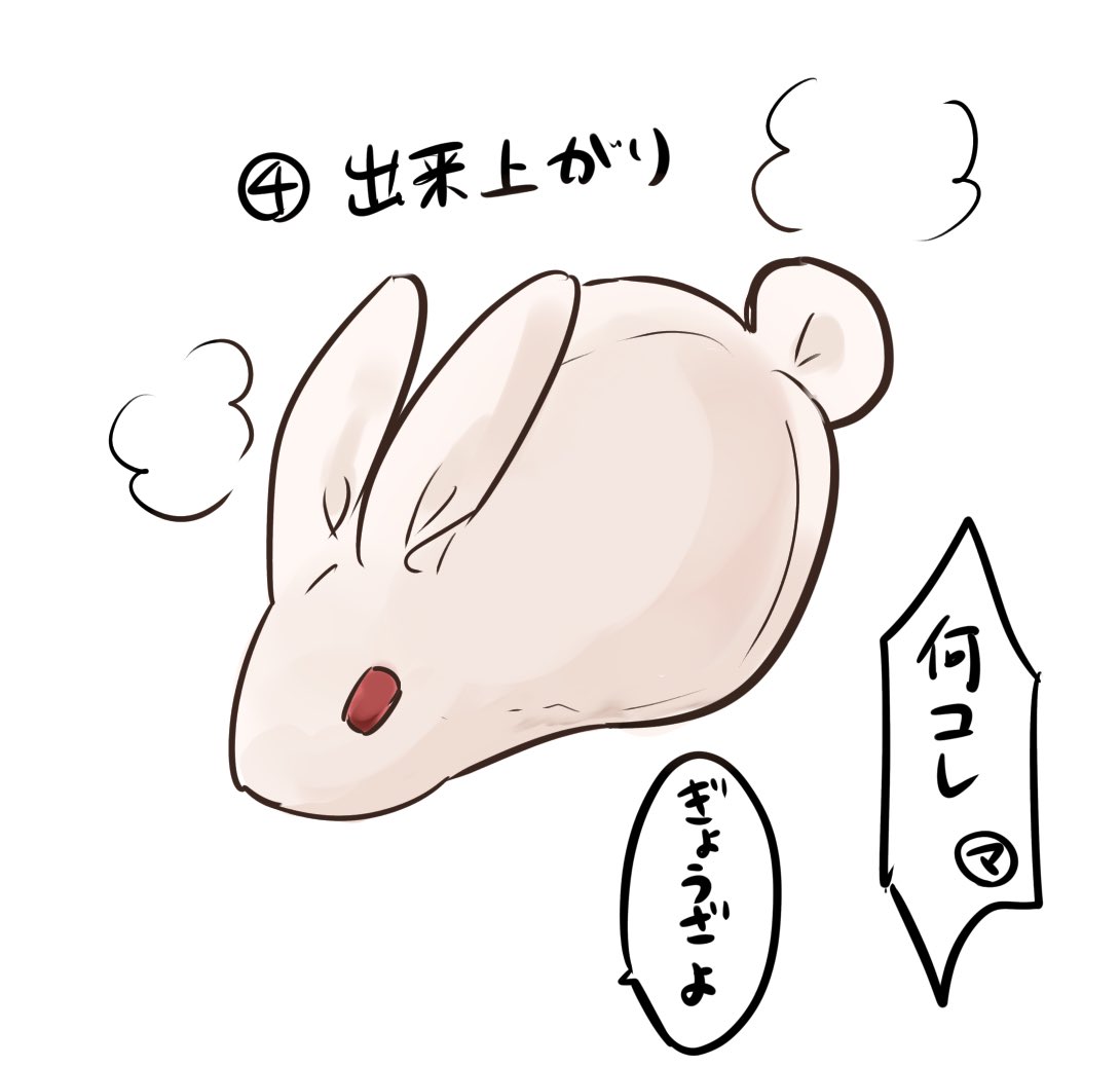今日の夕飯は春巻きです 