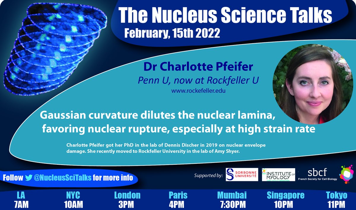 On the 15th of February at 4pm CET, Charlotte Pfeifer from Dennis Discher lab <a href="/Penn/">Penn</a>, now at Amy Shyer <a href="/RockefellerUniv/">Rockefeller University</a>, will be presenting her results. Book your calendars.