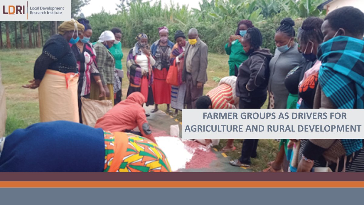 ldriafrica's tweet photo. 🔴Blog Alert!
We are excited to be working with our farmers again in #NewYear2022. In our recent #blog ➡️https://t.co/rD8hekf255 we share our experience with #farmergroups and our journey with #villagebasedadvisors in #Kiambu and #Embu counties.
#agriculture https://t.co/yYcYJQtoq1